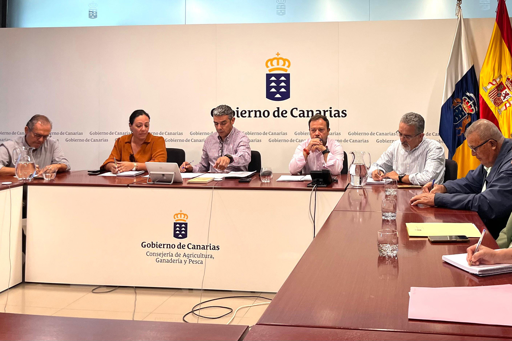 El Gobierno de Canarias destina 347.000 euros a la reproducción in vitro de plantas de piña tropical sanas